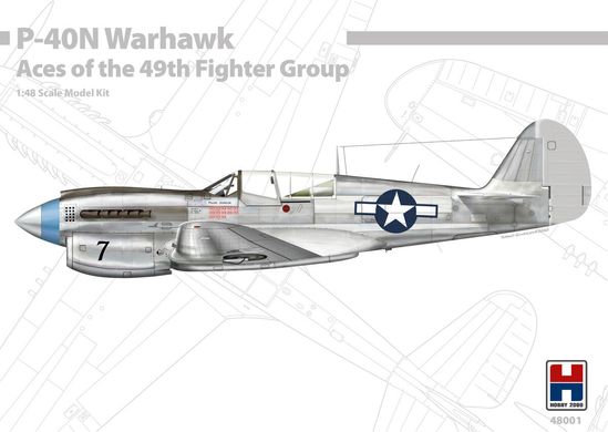 Сборная модель Самолета P-40N Warhawk Aces of the 49th Fighter Group Hobby 2000 48001 1:48