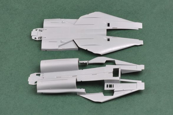 Збірна модель 1/48 американський винищувач F-14D "Super Tomcat" HobbyBoss 80368