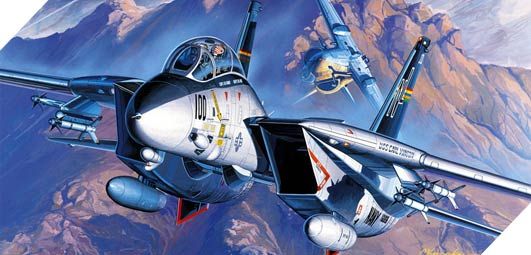 Collected model 1/72 Vinishuvach F-14A Academy 12471