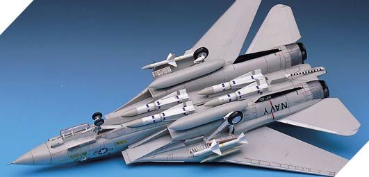 Collected model 1/72 Vinishuvach F-14A Academy 12471