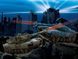 Танки с дистанционным управлением 1/52 RC Battle Set Battlefield Tanks Revell 24438