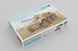Assembly model 1:35 South African wheeled armored vehicle Rooikat AFV Trumpeter 09516