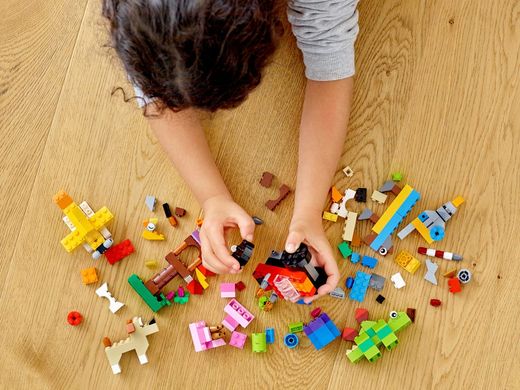 Конструктор LEGO Classic Базовий набір кубиків, 300 деталей Lego 11002