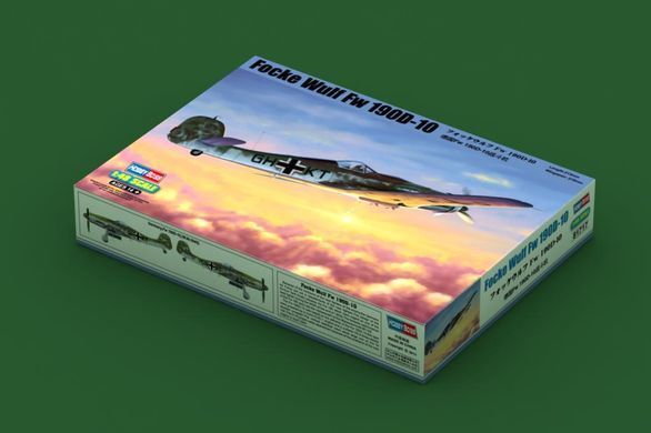 Збірна модель 1:48 літак FW190D-10 Hobby Boss 81717