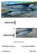 Декаль 1:48 для Stencils For S-24 Rockets With Death Wishes, Ukrainian Air Forces Foxbot 48-088