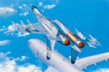 Hobby Boss 81715 1:48 Scale Model Kit of the PLAAF J-11B Aircraft