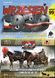 Assembly model 1:72 military chariot Three-horse cavalry front for 37mm Bofors gun wz. 36 Firs