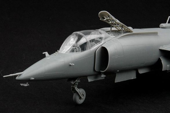 Assembled model 1:48 Yak-38 / Yak-38M aircraft Forger A Hobby Boss 80362