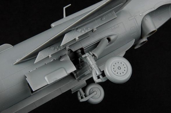 Assembled model 1:48 Yak-38 / Yak-38M aircraft Forger A Hobby Boss 80362